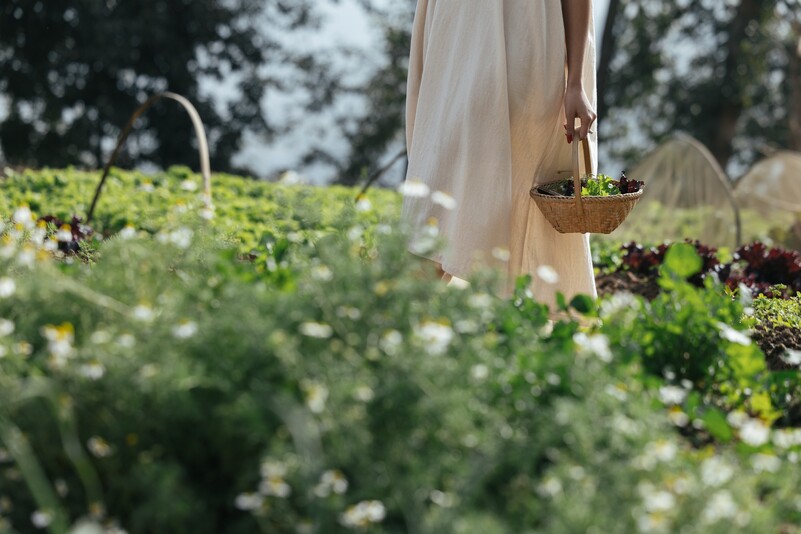 Wellness experience at Dwarika's Sanctuary
