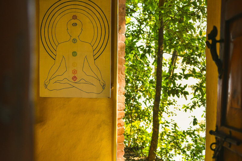 Ayurvedic Doctor Consultation