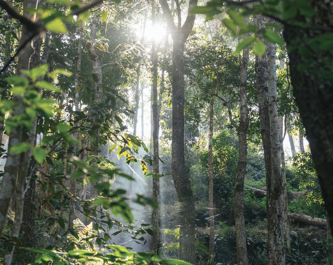 Philosophy of renewal at Dwarika's Sanctuary